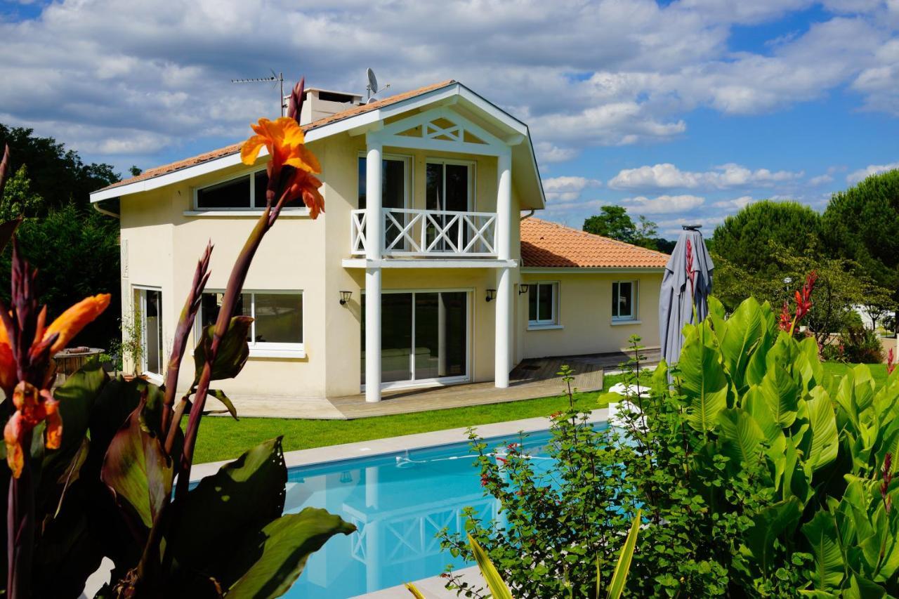 Villa Alba. Piscine Grand Jardin Hauts De Bordeaux Carignan-de-Bordeaux Esterno foto